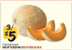Winn Dixie Cantaloupe offer