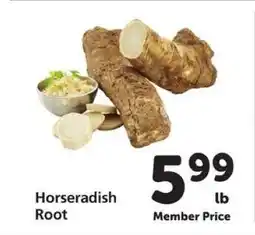 Safeway Horseradish Root offer