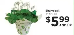 Kroger Shamrock offer