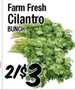 Western Beef Farm Fresh Cilantro BUNCH offer