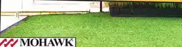 Ollie's MOHAWK ARTIFICIAL GRASS CARPET 6' X 9' offer