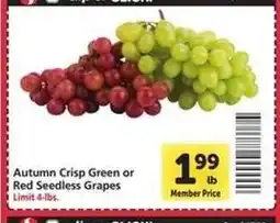 Safeway Autumn Crisp Green or Red Seedless Grapes offer