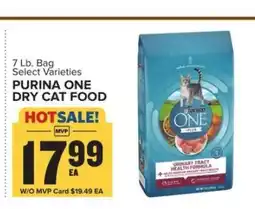 Food Lion Purina One Dry Cat Food offer