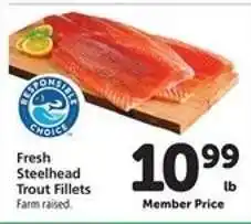 Safeway Fresh Steelhead Trout Fillets offer