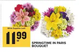 Food Lion SPRINGTIME IN PARIS BOUQUET offer