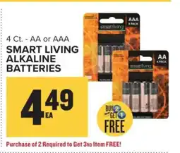 Food Lion SMART LIVING ALKALINE BATTERIES offer