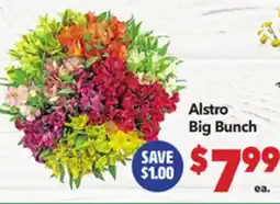 Vallarta Supermarkets Alstro Big Bunch offer