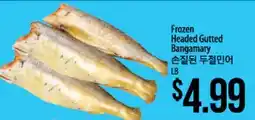 Hmart Frozen Headed Gutted Bangamary offer