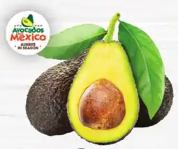 Vallarta Supermarkets Medium Avocado / AGUACATE MEDIANO offer