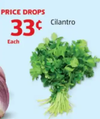 Aldi Cilantro offer