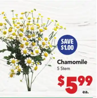 Vallarta Supermarkets Chamomile offer