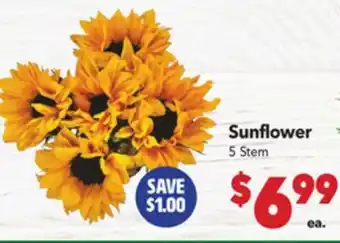 Vallarta Supermarkets Sunflower offer