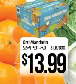 Hmart Orri Mandarin offer