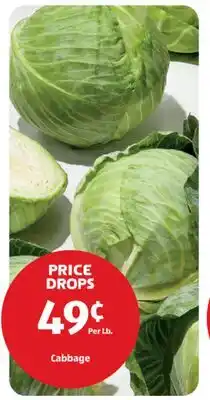 Aldi Cabbage offer