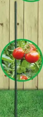 Menards 3' Garden Stake • Textured surface helps secure plants offer