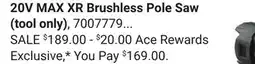 Ace Hardware 20V MAX XR Brushless Pole Saw offer