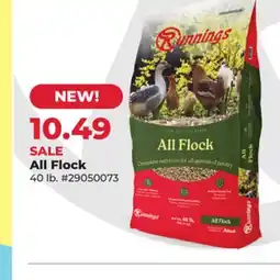 Runnings All Flock offer