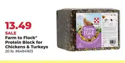 Runnings Farm to Flock Protein Block for Chickens & Turkeys offer