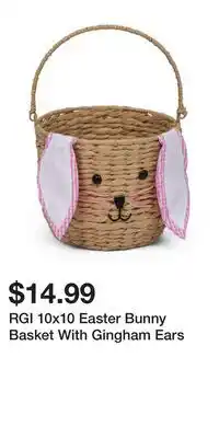TJ Maxx RGI 10x10 Easter Bunny Basket With Gingham Ears offer