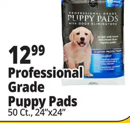 Ocean State Job Lot Puppy Pads offer