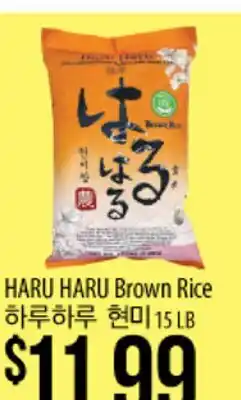 Hmart HARU HARU Brown Rice offer