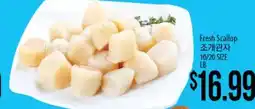 Hmart Fresh Scallop offer