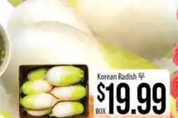 Hmart Korean Radish offer