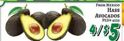 Trade Fair Supermarket FROM MEXICO HASS AVOCADOS offer