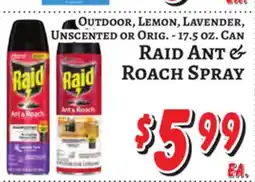Trade Fair Supermarket Raid Ant & Roach Spray offer