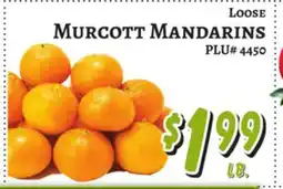 Trade Fair Supermarket LOOSE Murcott Mandarins offer