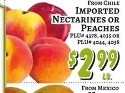 Trade Fair Supermarket FROM CHILE IMPORTED NECTARINES OR PEACHES offer
