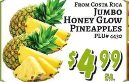 Trade Fair Supermarket JUMBO HONEY GLOW PINEAPPLES offer