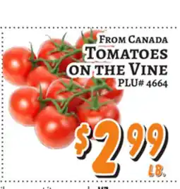 Trade Fair Supermarket FROM CANADA TOMATOES ON THE VINE offer
