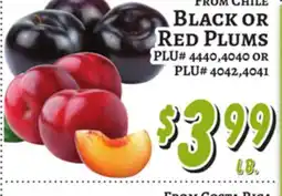 Trade Fair Supermarket BLACK OR RED PLUMS offer