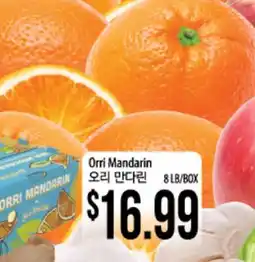 Hmart Orri Mandarin offer