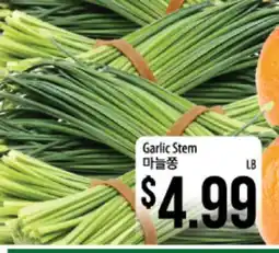 Hmart Garlic Stem offer