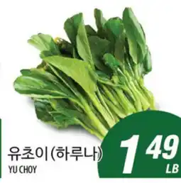 Joong Boo Market YU CHOI offer