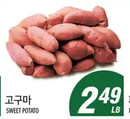 Joong Boo Market SWEET POTATO offer