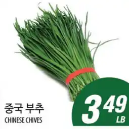 Joong Boo Market CHINESE CHIVES offer