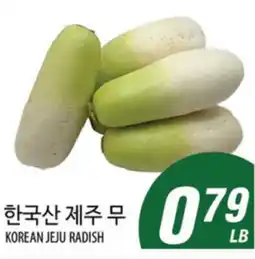 Joong Boo Market KOREAN JEJU RADISH offer