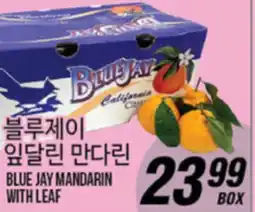 Joong Boo Market BLUE JAY MANDARIN WITH LEAF offer
