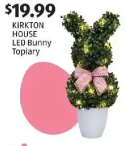 Aldi Kirkton house led bunny topiary offer