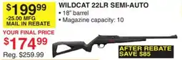 Dunham's Sports WILDCAT 22LR SEMI-AUTO offer