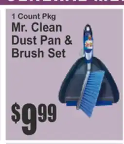 Almonte's Food Dynasty Marketplace Mr. Clean Dust Pan & Brush Set offer