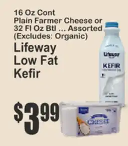 Key Food Lifeway Low Fat Kefir offer