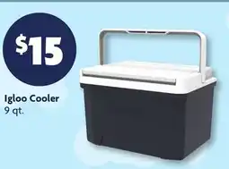 Family Dollar Igloo Cooler offer