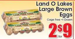 Supremo Foods Inc Land O Lakes Large Brown Eggs offer