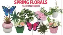 Dollar General SPRING FLORALS offer