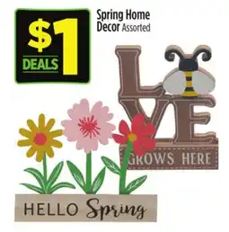 Dollar General Spring Home Decor offer