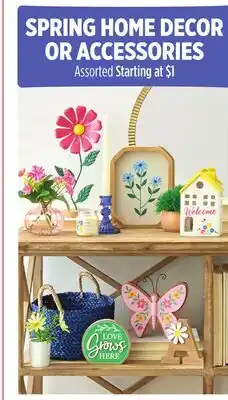 Dollar General SPRING HOME DECOR OR ACCESSORIES offer
